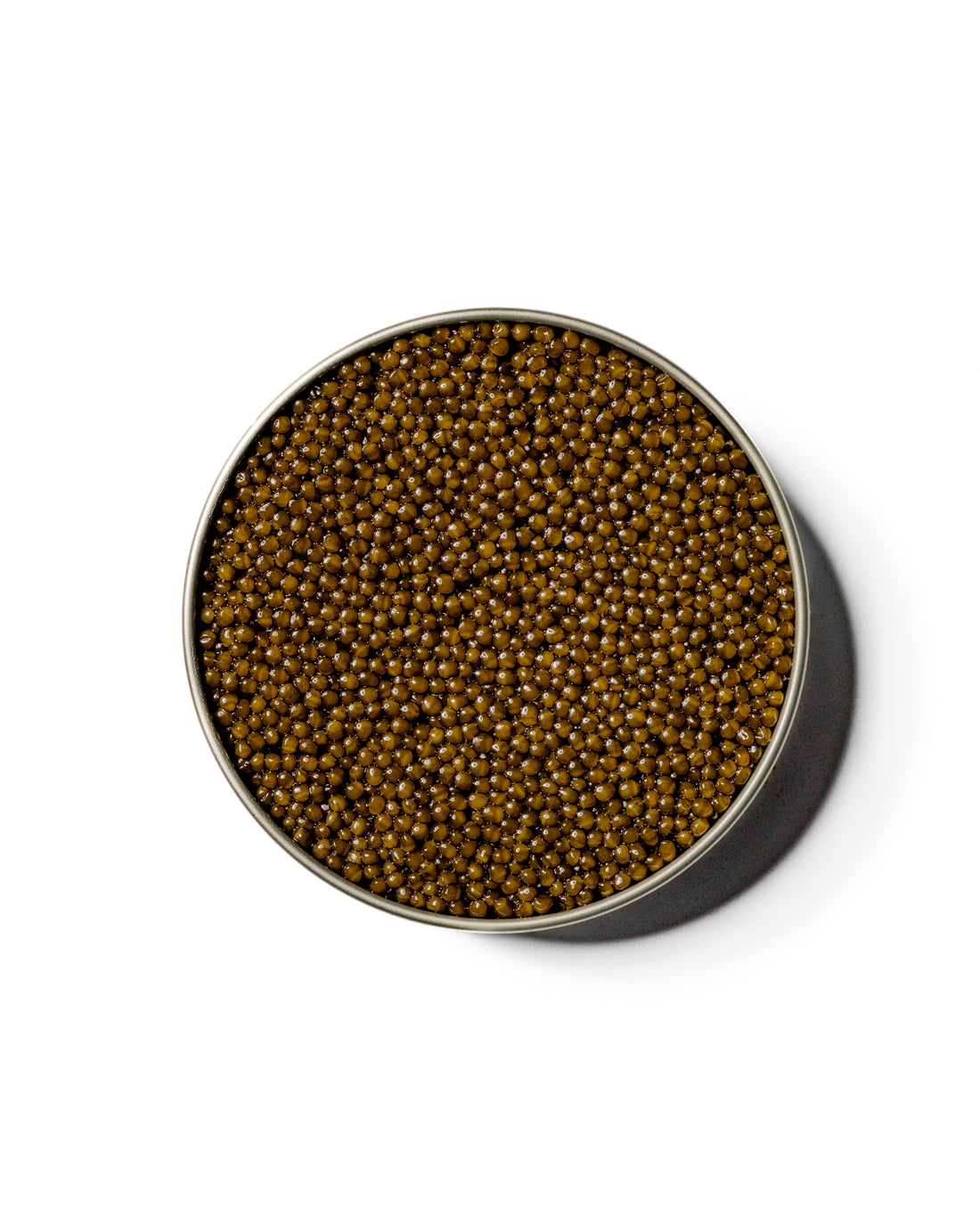 KALUGA GOLD