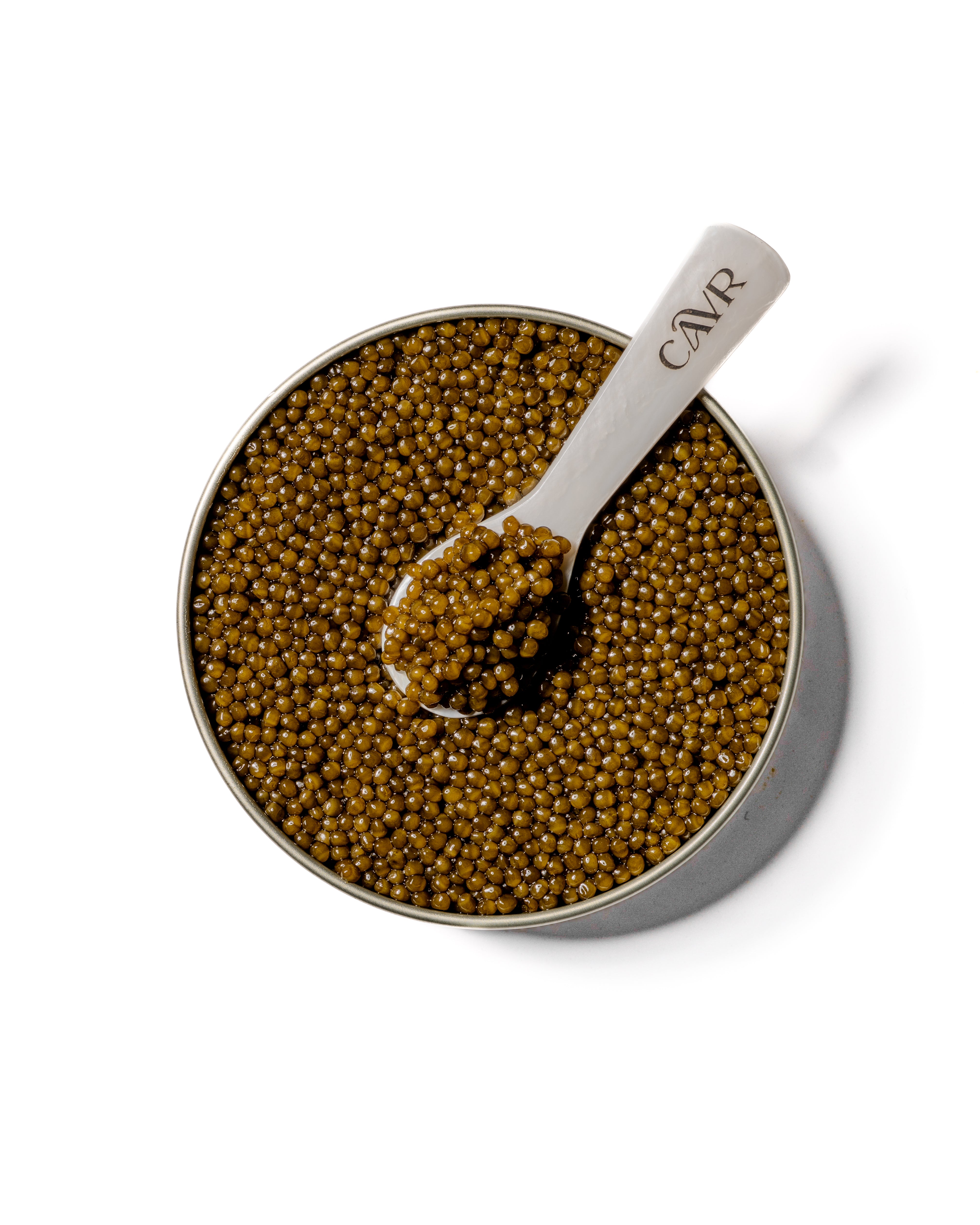 KALUGA GOLD