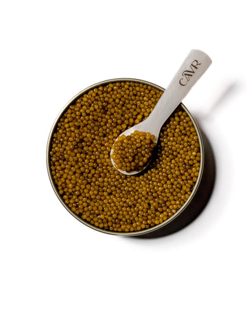 OSETRA GOLD